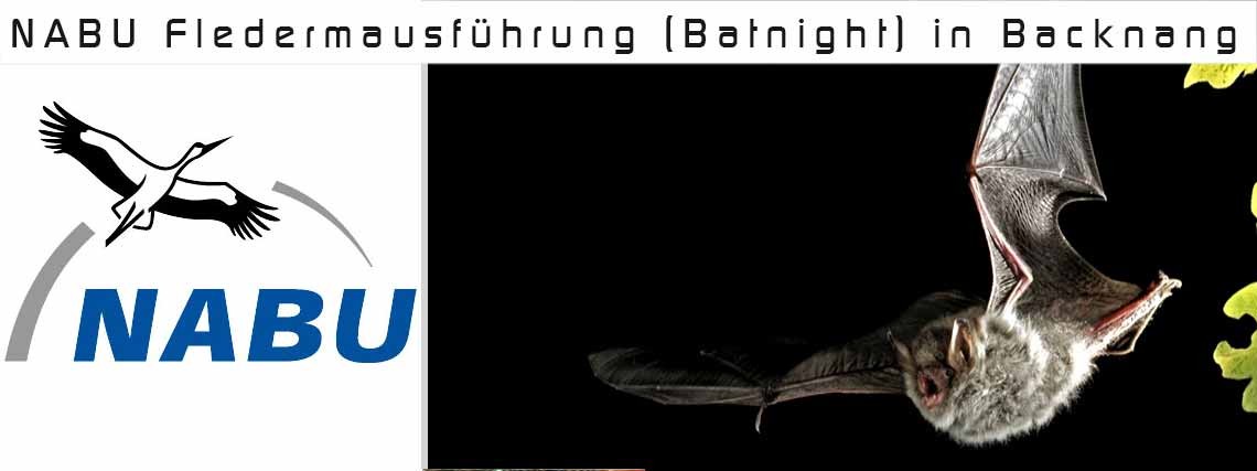 NABU Fledermausführung (Batnight) in Backnang