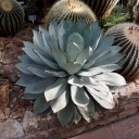 Wilhelma - Zoologisch-Botanischer Garten Stuttgart