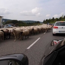 Schwarzwald Wanderung am 07.09.2014 in Enzklösterle